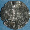 England United Kingdom Hamered coin ND silver