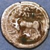 290-160 BC Illyria Apollonia Curved Stellate cow right (G290Y)