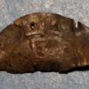 England Henry II hamered silver 1154-1189 Cut Half Penny