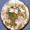 290- 160 BC Illyria Apollonia AR Drachm Ariston
