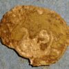 Italian States Ancona City 1 Denaro 1250-1348  - Image 2