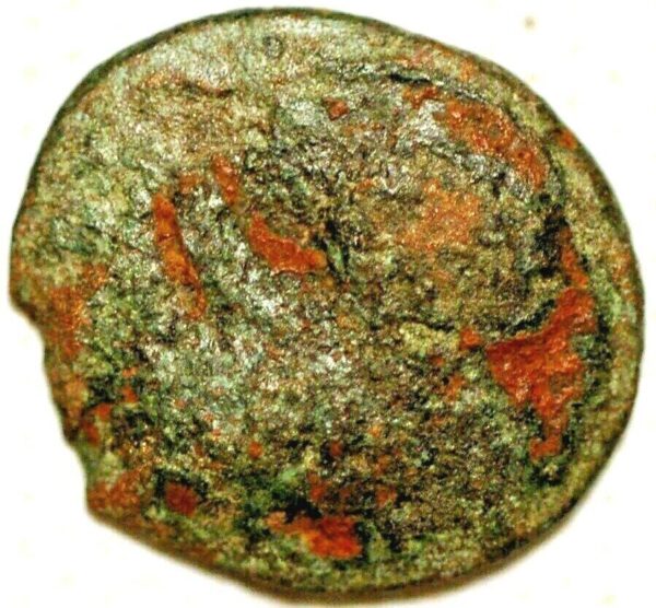 Ilyria and Central Greece Eperius Thunderbolt - Image 2