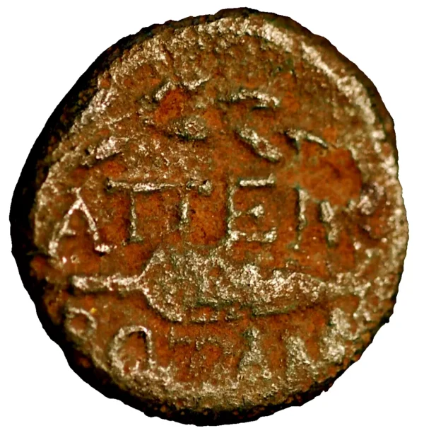 Illyria and central Greece the Molosi Phoenike AE 19 Diad bust of Artemis BMC 73